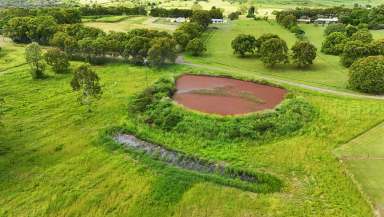 Farm For Sale - QLD - North Isis - 4660 - 7.75 ACRES OF LAND RIGHT ON THE DOOR STEP OF CHILDERS  (Image 2)