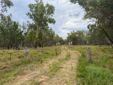 Farm Auction - NSW - Bedgerebong - 2871 - Raywhite Forbes - 02 6851 1411  (Image 2)