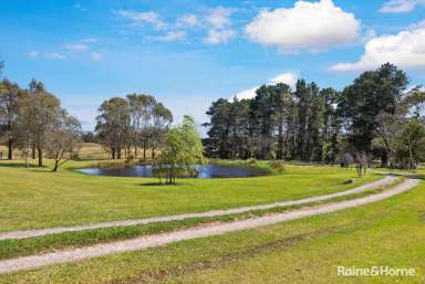 Farm For Sale - NSW - Majors Creek - 2622 - Serene Retreat in Majors Creek  (Image 2)