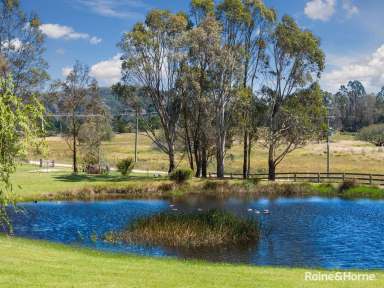 Farm For Sale - NSW - Majors Creek - 2622 - Serene Retreat in Majors Creek  (Image 2)