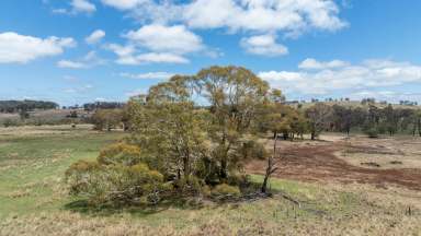 Farm Auction - NSW - Black Mountain - 2365 - "Avalon" - Prime Grazing Property with Excellent Infrastructure and Water Security  (Image 2)