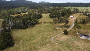 Farm For Sale - TAS - Rocky Cape - 7321 - Rural Paradise in Rocky Cape, Tasmania  (Image 2)