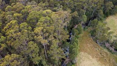 Farm For Sale - TAS - Rocky Cape - 7321 - Rural Paradise in Rocky Cape, Tasmania  (Image 2)