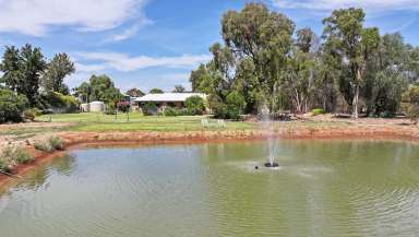 Farm For Sale - NSW - Myall Park - 2681 - 50 Acres with Executive Style Home  (Image 2)