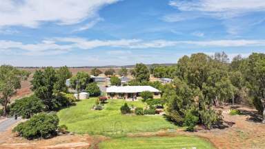 Farm For Sale - NSW - Myall Park - 2681 - 50 Acres with Executive Style Home  (Image 2)