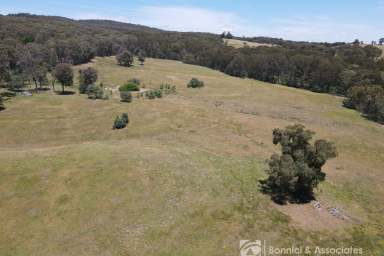 Farm For Sale - VIC - Beechworth - 3747 - Five Titles on 43 Acres on the Edge of Town  (Image 2)