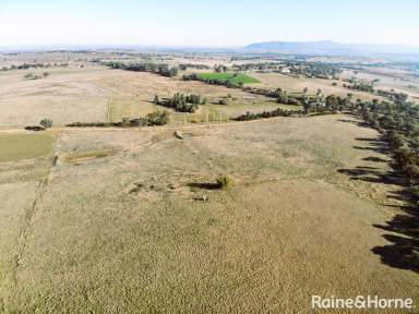 Farm For Sale - NSW - Grenfell - 2810 - ACRES OF POTENTIAL  (Image 2)