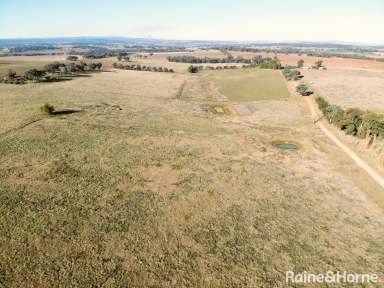 Farm For Sale - NSW - Grenfell - 2810 - ACRES OF POTENTIAL  (Image 2)