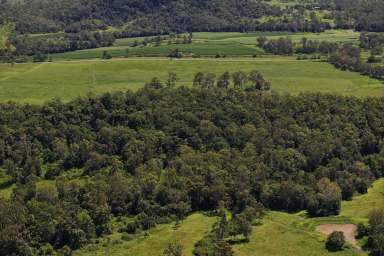 Farm For Sale - QLD - Yalboroo - 4741 - "SEEMORE PASTURES" 
High pastured country = high productivity  (Image 2)