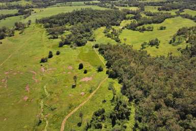 Farm For Sale - QLD - Yalboroo - 4741 - "SEEMORE PASTURES" 
High pastured country = high productivity  (Image 2)