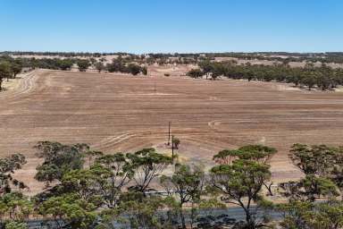 Farm For Sale - WA - Youndegin - 6407 - Lot 8662 Cunderdin-Quairading Road, Youndegin                   79.6ha (198.3 acres)  (Image 2)