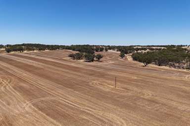 Farm For Sale - WA - Youndegin - 6407 - Lot 8662 Cunderdin-Quairading Road, Youndegin                   79.6ha (198.3 acres)  (Image 2)