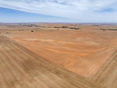 Farm Auction - SA - Caltowie - 5490 - Arable Farming Land in Tightly Held Region  (Image 2)