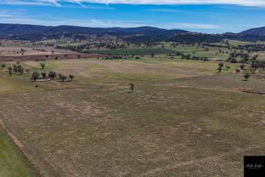 Farm For Sale - NSW - Tamworth - 2340 - WELL LOCATED VERSATILE PROPERTY IN THE TAMWORTH DISTRICT  (Image 2)