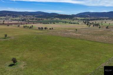 Farm For Sale - NSW - Tamworth - 2340 - WELL LOCATED VERSATILE PROPERTY IN THE TAMWORTH DISTRICT  (Image 2)