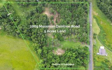 Farm For Sale - QLD - Daintree - 4873 - YOUR DREAM HOME AWAITS: ELEVATED, FLOOD-FREE 5 ACRES IN DAINTREE  (Image 2)