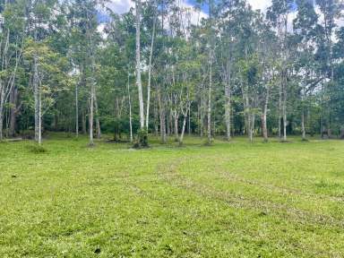 Farm For Sale - QLD - Daintree - 4873 - YOUR DREAM HOME AWAITS: ELEVATED, FLOOD-FREE 5 ACRES IN DAINTREE  (Image 2)