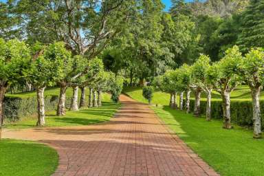 Farm For Sale - NSW - Yarramalong - 2259 - 'Cloud Valley Farm' - An iconic jewel of the Australian landscape  (Image 2)