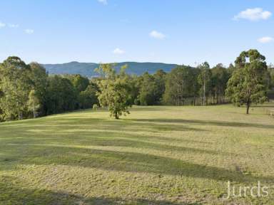 Farm Auction - NSW - Millfield - 2325 - Corrabare  (Image 2)