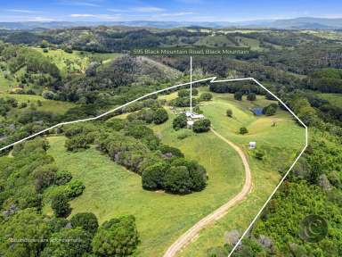 Farm For Sale - QLD - Black Mountain - 4563 - Expansive Family Retreat with Breathtaking Views and Unmatched Rural Charm  (Image 2)