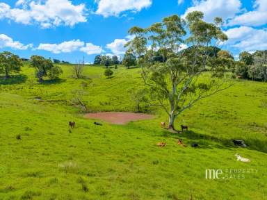 Farm For Sale - QLD - Mount Mee - 4521 - Charming Rural Retreat  (Image 2)