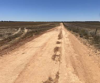 Farm For Sale - SA - Parilla - 5303 - Prime Cropping, Irrigation and Horticulture  (Image 2)