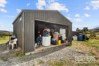 Farm For Sale - TAS - Fingal - 7214 - Fingal Land Opportunity  (Image 2)