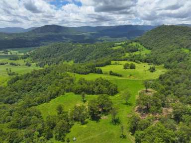 Farm For Sale - NSW - Kyogle - 2474 - COLLINS CREEK GEM  (Image 2)