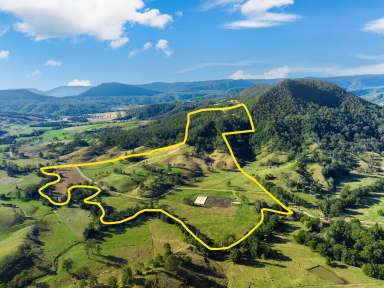 Farm For Sale - NSW - Lynchs Creek - 2474 - COLLINS CREEK GEM  (Image 2)