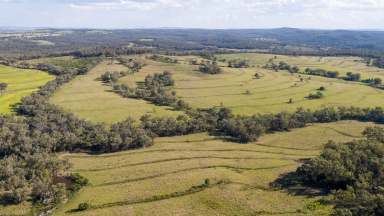 Farm For Sale - NSW - Inverell - 2360 - 'Gulbraith' located productive Delungra district  (Image 2)