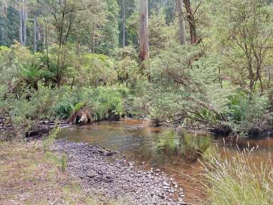 Farm Tender - VIC - Noojee - 3833 - The Ridge - A Secluded Luxury Off-Grid Lifestyle  (Image 2)