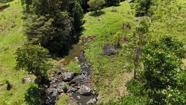 Farm For Sale - QLD - Natural Bridge - 4211 - Consolidated Water | Gold Coast Hinterland  (Image 2)