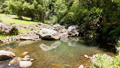 Farm For Sale - QLD - Natural Bridge - 4211 - Consolidated Water | Gold Coast Hinterland  (Image 2)