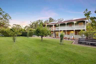 Farm Auction - QLD - Doonan - 4562 - Character Meets Modern Comfort in Exclusive Location  (Image 2)