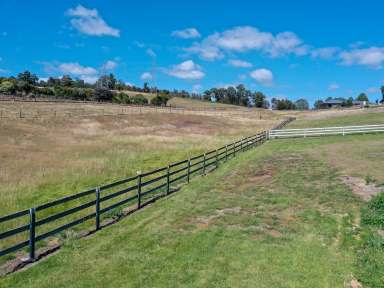 Farm For Sale - TAS - Molesworth - 7140 - Discover 5 Acres in Molesworth featuring a Spacious Family home along with an additional unit!  (Image 2)