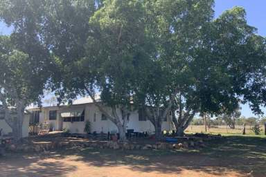 Farm For Sale - NSW - Brewarrina - 2839 - Western Opportunity!  (Image 2)