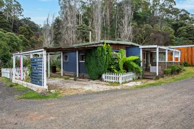 Farm For Sale - TAS - Gunns Plains - 7315 - Your Wildlife Getaway!  (Image 2)