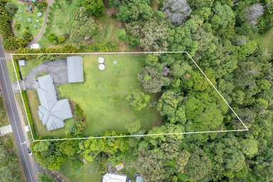 Farm For Sale - QLD - Doonan - 4562 - Tranquil Hinterland Living in a Prime Location  (Image 2)