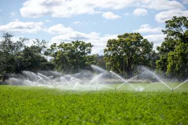 Farm Auction - NSW - Tenterfield - 2372 - "Trenayr" Mole River Valley Tenterfield NSW  (Image 2)