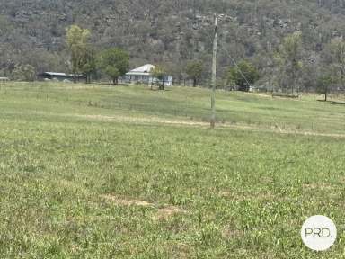 Farm For Sale - NSW - Martindale - 2328 - Tranquil Rural Living on 17 hectares  (Image 2)