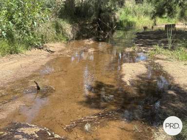 Farm For Sale - NSW - Martindale - 2328 - Tranquil Rural Living on 17 hectares  (Image 2)