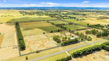 Farm For Sale - VIC - Rosedale - 3847 - All the work is done!  (Image 2)