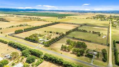 Farm For Sale - VIC - Rosedale - 3847 - All the work is done!  (Image 2)