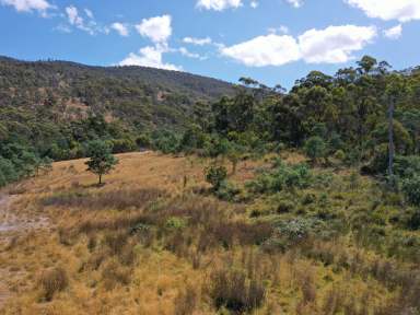 Farm For Sale - TAS - Westerway - 7140 - 70 Acres in an Excellent Location  (Image 2)