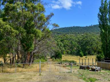 Farm For Sale - TAS - Westerway - 7140 - 70 Acres in an Excellent Location  (Image 2)