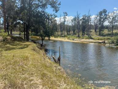 Farm For Sale - NSW - Bundarra - 2359 - NEW ENGLAND WEEKENDER  (Image 2)