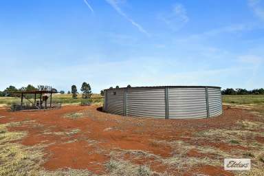 Farm Auction - QLD - St George - 4487 - Versatile Grazing Property – First Time Offered in 44 Years  (Image 2)