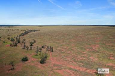 Farm Auction - QLD - St George - 4487 - Versatile Grazing Property – First Time Offered in 44 Years  (Image 2)