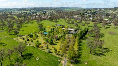 191 Thunderbolts Way, Walcha NSW 2354