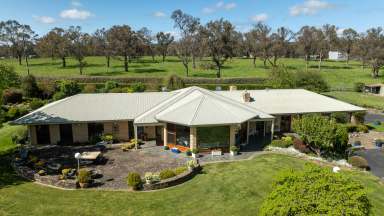 Farm Auction - NSW - Walcha - 2354 - An outstanding New England rural estate: Round Hill, Walcha NSW  (Image 2)